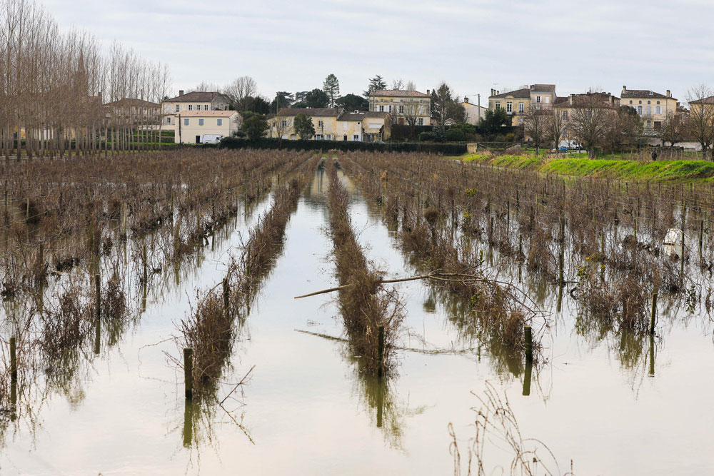 remontées de nappes